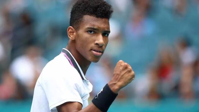 例如大豆和 例如大豆和