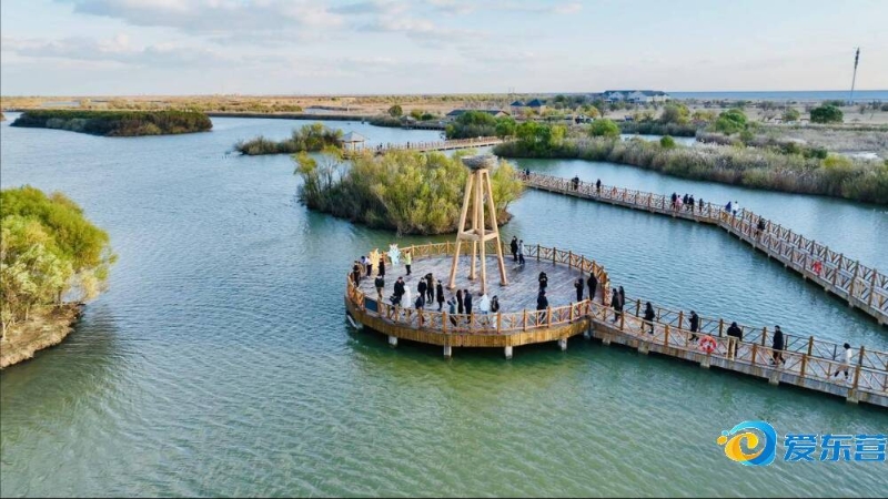 数据对比 数据对比